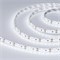 Лента герметичная RTW-SE-A120-8mm 12V White6000 (9.6 W/m, IP65, 2835, 5m) (Arlight, -) 014637(2) - фото 95770