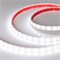 Лента RTW 2-5000PW 24V White6000 2x (5060, 300 LED, LUX) (Arlight, 14.4 Вт/м, IP66) 016170 - фото 95815