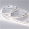 Светодиодная лента RT-A240-10mm 24V Day4000 (19.2 W/m, IP20, 3528, 5m) (Arlight, Открытый) 017431(2) - фото 95876