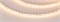 Лента RT-A120-5mm 24V Warm2400 (9.6 W/m, IP20, 2835, 5m) (Arlight, узкая) 018100(2) - фото 95974