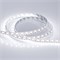 Лента RT 2-5000 12V Cx1 White6000 2x (5060, 360 LED, LUX) (Arlight, 15.6 Вт/м, IP20) 011705 - фото 96117