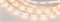 Лента ULTRA-5000 12V Warm2400 (5630, 150 LED, LUX) (Arlight, 12 Вт/м, IP20) 018109-1 - фото 96233