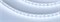 Лента UL-B80-10mm 24V White6000 (11 W/m, IP20, 5m) (Arlight, 7 лет) 041373 - фото 96265
