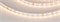 Лента RT-A80-8mm 24V Warm2700 (6 W/m, IP20, 2835, 5m) (Arlight, высок.эфф.150 лм/Вт) 024514(2) - фото 96408