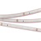 Лента RTW 2-5000PS-50m 24V Warm2700 (3528, 60 LED/m, LUX) (Arlight, 4.8 Вт/м, IP67) 024566 - фото 96489