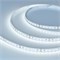 Лента NT-A120-8mm 24V Cool 8K (9.6 W/m, IP20, 3528, 5m) (Arlight, Открытый) 040571 - фото 96497