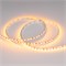 Лента RT 2-5000 12V Yellow 5mm 2x (3528, 600 LED, LUX) (Arlight, 9.6 Вт/м, IP20) 015006 - фото 96618