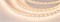 Лента RT 2-5000 12V Cx1 Warm3000 2x (5060, 360 LED, CRI98) (Arlight, 16.8 Вт/м, IP20) 021473 - фото 96675