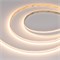 Лента RT-A280-8mm 24V Warm2700 (10 W/m, IP20, 5m) (Arlight, -) 045565 - фото 96790