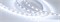 Лента RT 2-5000 12V Cool 8K 2x (5060, 300 LED, LUX) (Arlight, 14.4 Вт/м, IP20) 013341(B) - фото 96892