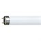 Лампа инсектицидная в пленке в ловушки для насекомых LightBest BL 15W T8 G13 355-385nm L=437mm 700909017 - фото 97065