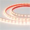 Лента RTW 2-5000PS 12V Warm3000 (3528, 300 LED, LUX) (Arlight, 4.8 Вт/м, IP67) 021101 - фото 97171