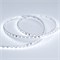 Лента RT 2-5000 24V Cool 8K 5mm 2x (3528, 600 LED, LUX) (Arlight, 9.6 Вт/м, IP20) 015650(B) - фото 97187