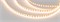 Лента RZ-A120-6mm 12V Warm2700 (12 W/m, IP20, 2835, 5m) (Arlight, 12 Вт/м, IP20) 036448 - фото 97358