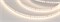 Лента RT-A128-8mm 24V Warm3000 (9.6 W/m, IP20, 2835, 5m) (Arlight, высок.эфф.150 лм/Вт) 038758 - фото 97494