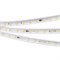 Лента ARL-10000PV-5060-54-230V White6000 (15mm, 8W, IP65) (Arlight, 8 Вт/м, IP65) 029403 - фото 97535