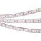 Лента RTW 2-5000PGS 12V Green 2x (3528, 600 LED, LUX) (Arlight, 9.6 Вт/м, IP67) 012288-1 - фото 97626