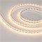 Лента RT 2-5000 24V Cx2 Warm3500 10mm (2835, 168 LED/m, LUX) (Arlight, 17 Вт/м, IP20) 028737 - фото 97836