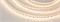 Лента RT 2-5000 24V Cx2 Warm2400 10mm (2835, 168 LED/m, LUX) (Arlight, 17 Вт/м, IP20) 028740 - фото 97859