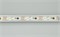 Лента SPI-5000P-5060-60 12V Cx3 White6000-Auto (12mm, 13.2W, IP66) (Arlight, Закрытый, IP66) 027164(1) - фото 97900