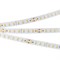Лента RTW-5000SC 24V Warm SP2900-Meat 10mm (2835, 112 LED/m, SHOP) (Arlight, Открытый) 028745 - фото 97922