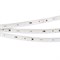Лента ARL-50000PC-220V White6000 (3056, 72 LED/m, IP65) (Arlight, 14 Вт/м, IP65) 024043 - фото 98506