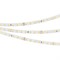 Лента RT 2-5000 24V Cool 8K 1.6x (2835, 490 LED, PRO) (Arlight, 10 Вт/м, IP20) 019912(1) - фото 98654