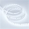 Лента RT 2-5000 24V Cool 8K 1.6x (2835, 490 LED, PRO) (Arlight, 10 Вт/м, IP20) 019912(1) - фото 98655
