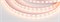 Лента RTW 2-5000P 12V Warm2700 2x (5060, 300 LED, LUX) (Arlight, 14.4 Вт/м, IP66) 012385 - фото 98726