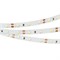 Лента RT 2-5000 12V White6000 (3528, 300 LED, LUX) (Arlight, 4.8 Вт/м, IP20) 010522(B) - фото 98732