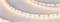 Лента MICROLED-M120-4mm 24V Warm2700 (9.6 W/m, IP20, 2216, 5m) (Arlight, 9.6 Вт/м, IP20) 024415(2) - фото 98890