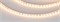Лента RT-A120-5mm 24V Warm2700 (9.6 W/m, IP20, 2835, 5m) (Arlight, 9.6 Вт/м, IP20) 015649(2) - фото 98931