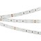 Лента RT 2-5000 24V Yellow 2x (5060, 300 LED, LUX) (Arlight, 14.4 Вт/м, IP20) 008816-1 - фото 98981