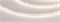 Лента RZ-A120-6mm 24V Warm3500 (9.6 W/m, IP20, 2835, 5m) (Arlight, -) 041486 - фото 99082