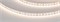 Лента UL-A120-8mm 24V Warm3500 (14.4 W/m, IP20, 5m) (Arlight, 7 лет) 042303 - фото 99085