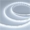 Лента DOT-X128-8mm 24V White6000 (11 W/m, IP20, 5m) (Arlight, Открытый) 040186 - фото 99227