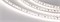 Лента RT-10000 24V White5500 2x (3528, 120 LED/m, 10m) (Arlight, 9.6 Вт/м, IP20) 025005 - фото 99725