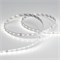 Лента RT 2-5000-50m 24V Day5000 (2835, 80 LED/m, LUX) (Arlight, 6 Вт/м, IP20) 024523(1)-1 - фото 99805