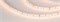 Светодиодная лента MICROLED-M120-8mm 24V Warm3000 (6.5 W/m, IP20, 2216, 5m) (Arlight, Открытый) 024438(2) - фото 99878