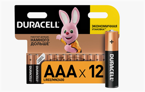 Батарейки Duracell BASIC LR03 AAA 12BL, мизинчиковые, 12 шт